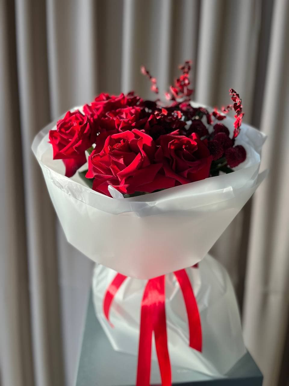 Red Softness